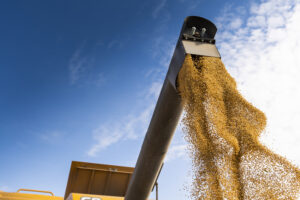 Alloy grades used in normalizing are high strength with decent corrosion resistance